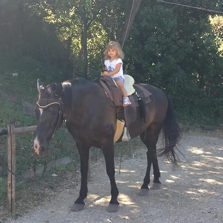 Agroturismo Collepina *