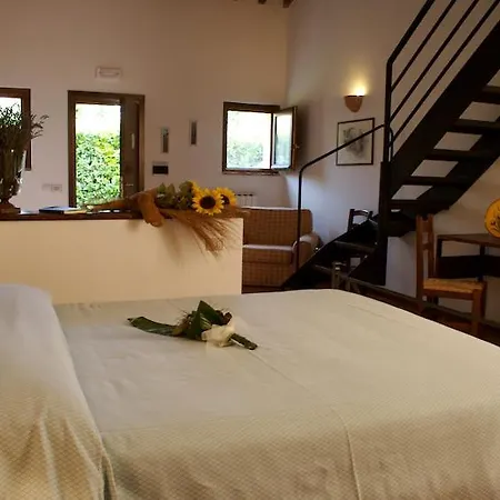 Collepina Agroturismo Amelia