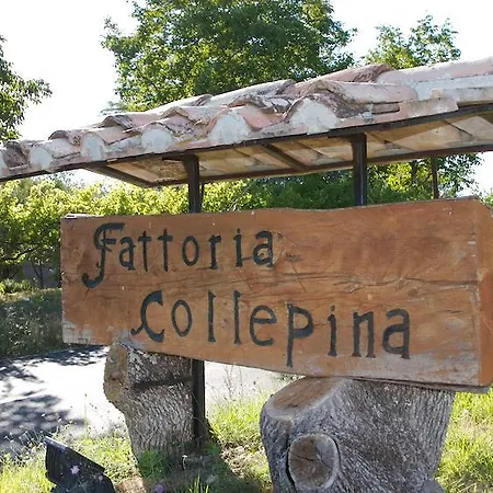 Collepina