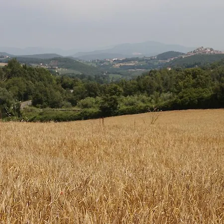 Collepina Farma Amelia