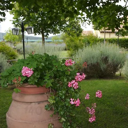 Agroturismo Collepina Amelia