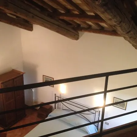 Collepina Farma Amelia